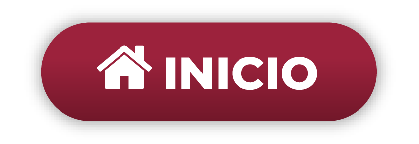 Inicio