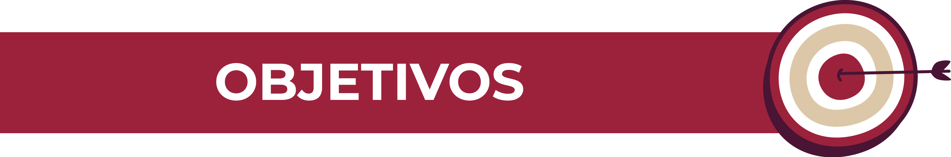 Control Interno Institucional 2